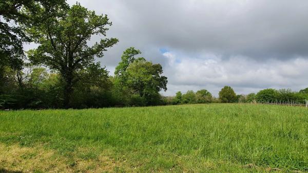 Dpt Gers (32), à vendre AYZIEU maison P6