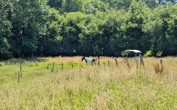 Maison à vendre    10 pièces •  Gan