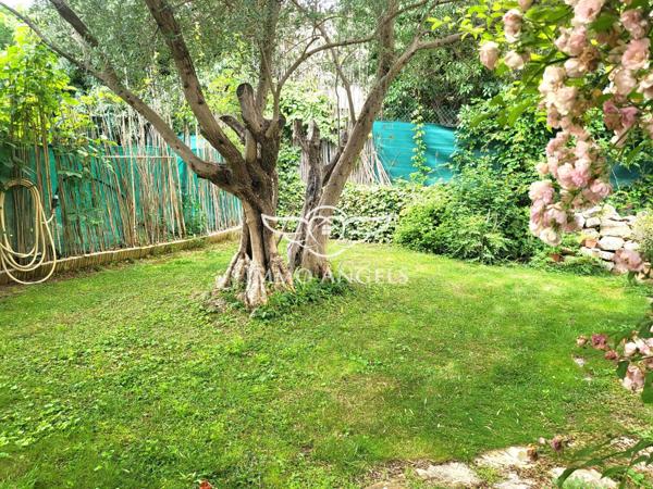 MAISON T6 AVEC PISCINE