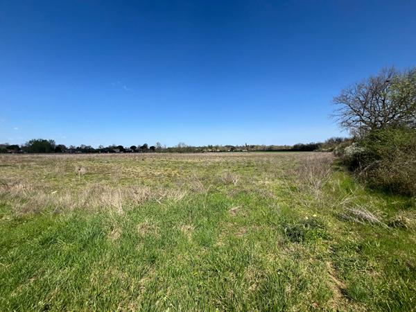 Achat terrain près de CAUSSADE - 25904 m² - 224 500 €