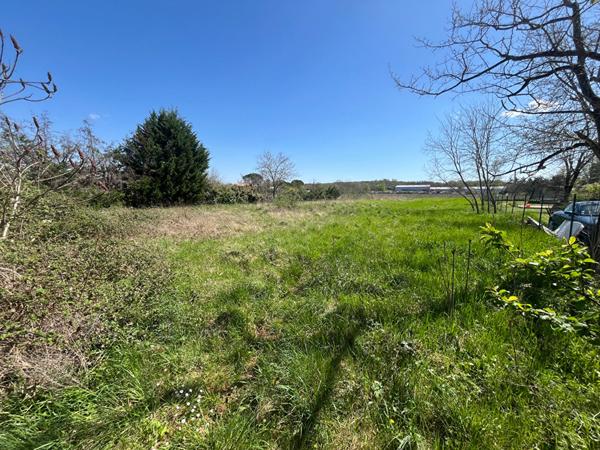 Achat terrain près de CAUSSADE - 25904 m² - 224 500 €