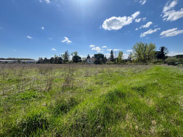 Achat terrain près de CAUSSADE - 25904 m² - 224 500 €