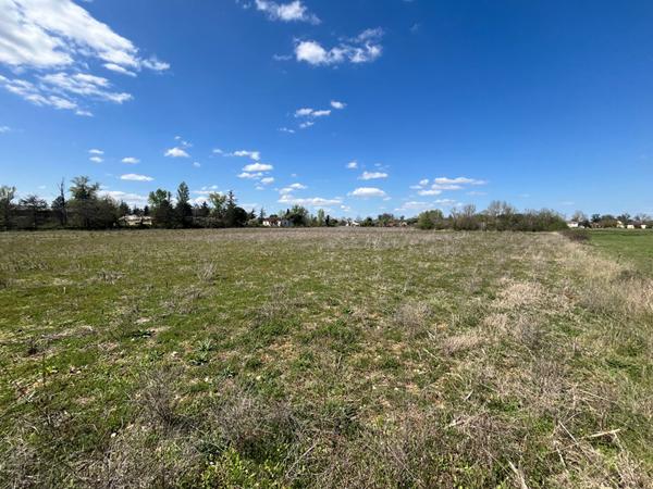 Achat terrain près de CAUSSADE - 25904 m² - 224 500 €