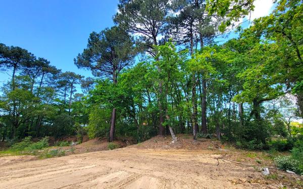 Terrain à vendre    Capbreton
