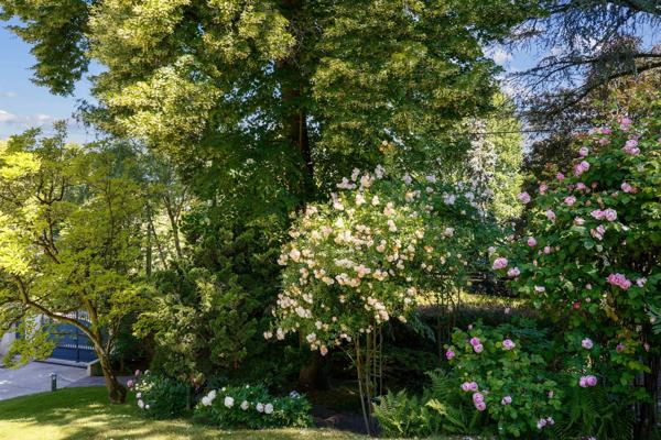 Vente Maison de luxe Rueil-Malmaison 12 Pièces 486 m²