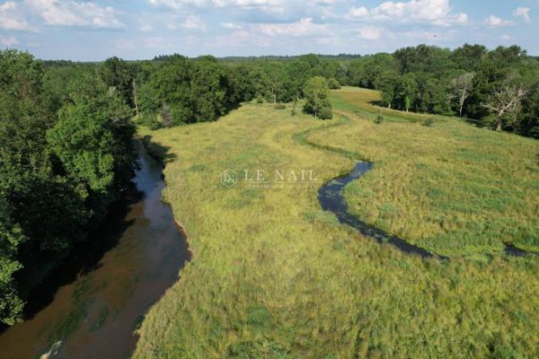 A vendre, Important domaine au cœur de la Sologne, 35 ha, à 2h00 de Paris