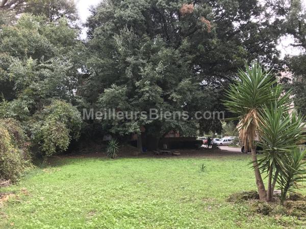 Beaux Arts-T2 calme au sein d'un ilôt de verdure