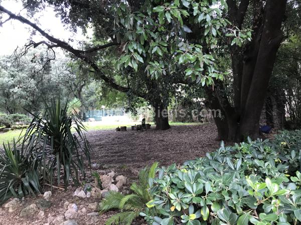 Beaux Arts-T2 calme au sein d'un ilôt de verdure