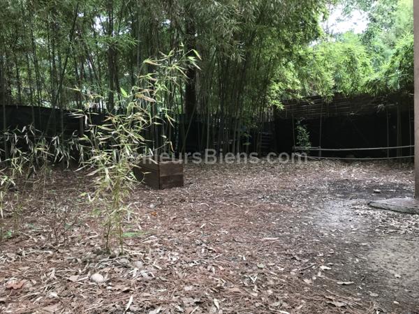 Beaux Arts-T2 calme au sein d'un ilôt de verdure