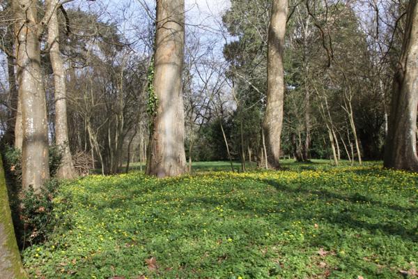 Terrain à vendre de 8 124,00 m² BERGERAC (24)