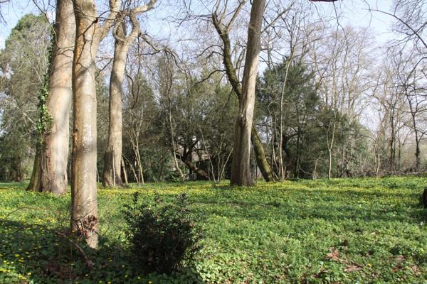 Terrain à vendre de 8 124,00 m² BERGERAC (24)