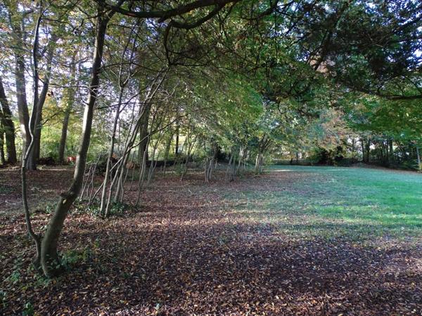 Terrain à vendre de 8 124,00 m² BERGERAC (24)