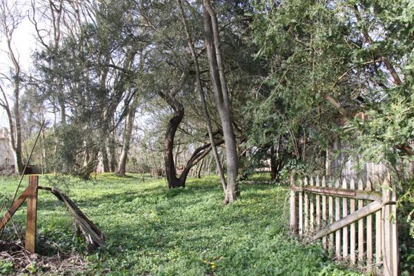 Terrain à vendre de 8 124,00 m² BERGERAC (24)