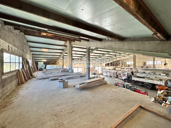 Vente Entrepôt / Local industriel1010 m² - LE PUY EN VELAY (43000)