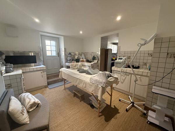 Centre ville Pau villa Les Tourelles 13 pièce(s) 395 m2