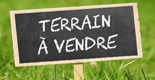 Contactez votre