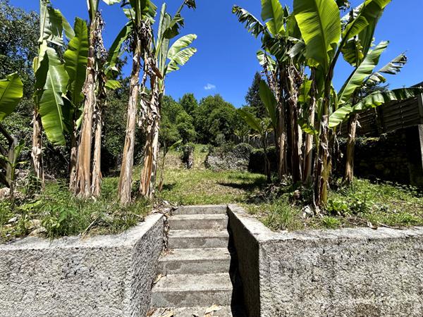 A VENDRE MAISON DE MAITRE DIVISE EN TROIS APPARTEMENTS + GARAGE + JARDIN