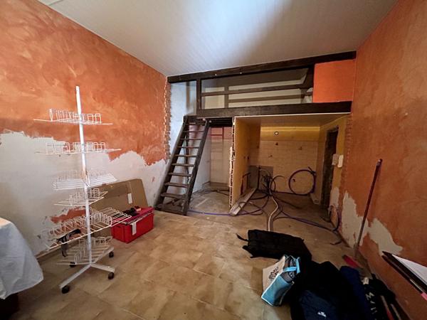 A VENDRE MAISON DE MAITRE DIVISE EN TROIS APPARTEMENTS + GARAGE + JARDIN