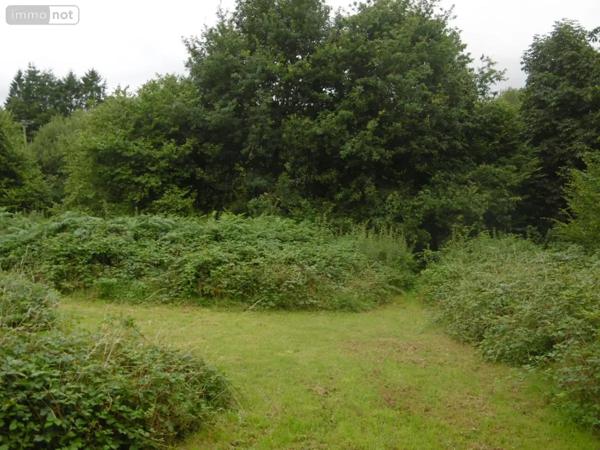 Achat - Maison Saint-Michel-de-Montjoie 50670 3 pièces 92 m 2 1550 m 2