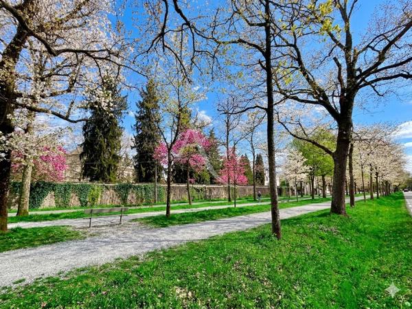 Allées Morlaas appartement Pau 4 pièce(s), garage et cave