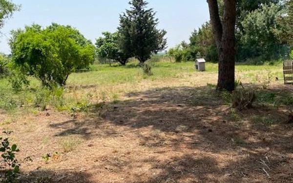 Maison à vendre    9 pièces •  Paulhan