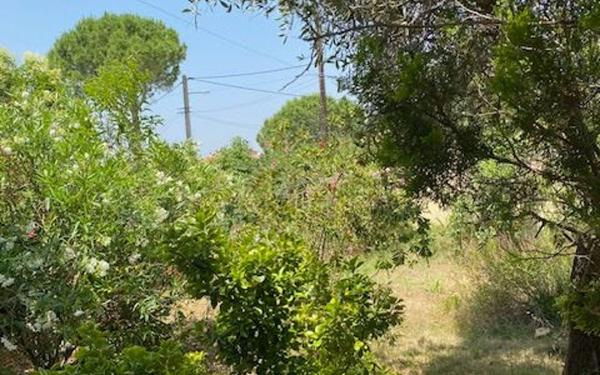 Maison à vendre    9 pièces •  Paulhan