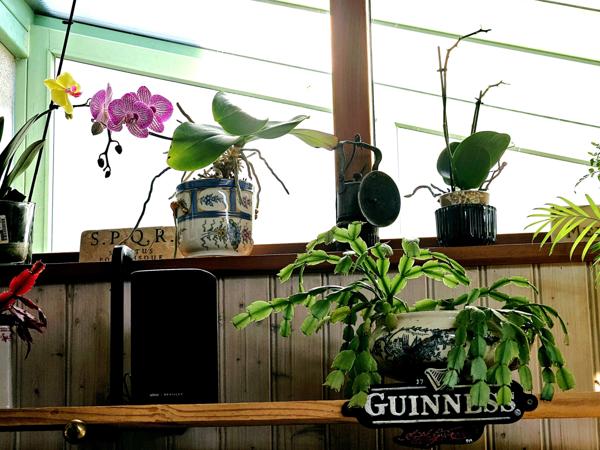 Maison de charme fin XIXème