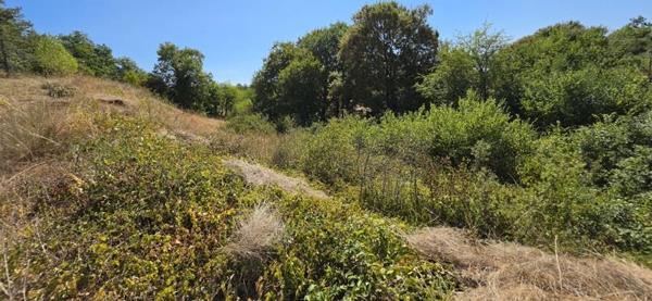 Terrain 35 000 € Lalbenque 2325 m² DPE