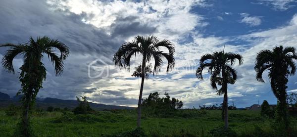 Lotissement de 251 m²