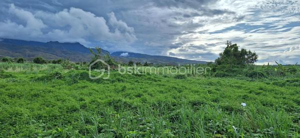 Lotissement de 251 m²