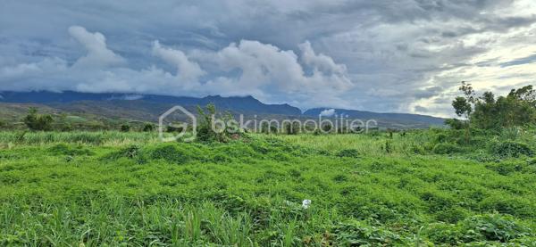 Lotissement de 251 m²