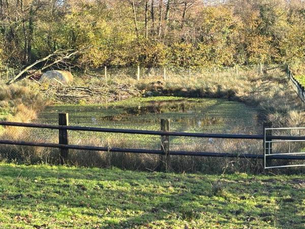 Maison à Brécey, 50370 - 8 pièces 145m²