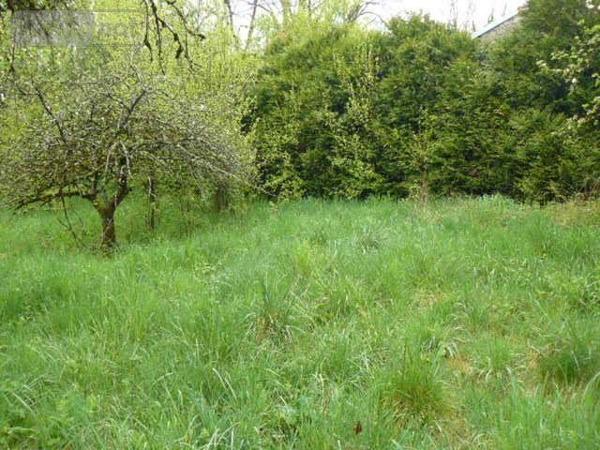 Maison à restaurer à vendre à Isches dans les Vosges (88320), ref : 2228