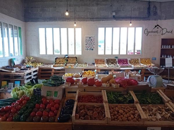 FONDS DE COMMERCE DE PRIMEURS