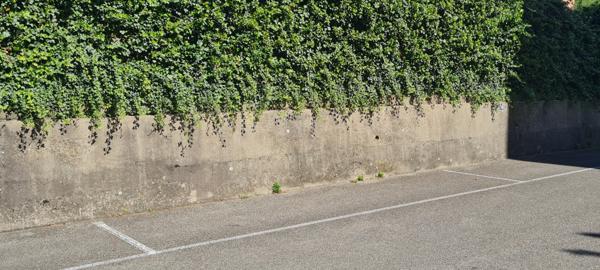 Vienne (38200) APPARTEMENT T3 VIENNE 2ème étage avenue Général Leclerc