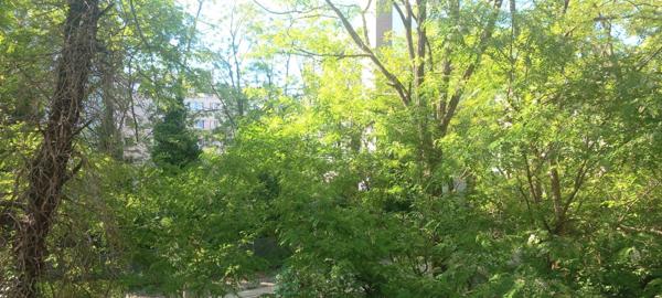Appartement T2 de 52,53m2 carrez au vert avec terrasse Paris 12ème Michel Bizot Poche bois et transports et toutes commodités
