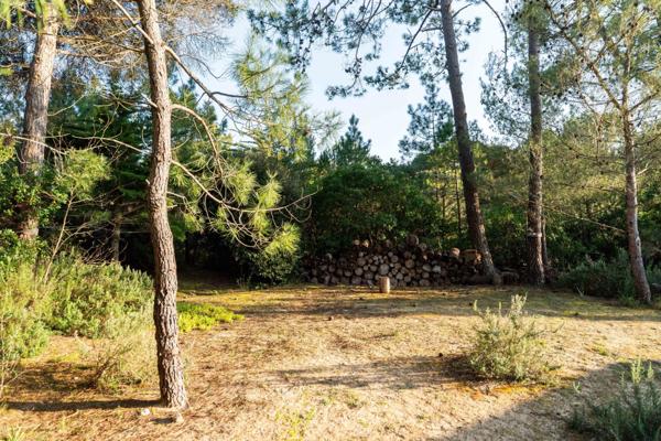 Île de Ré – Les Portes-en-Ré - Propriété d’exception au cœur de la pinède, à deux pas de l’océan