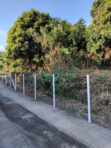 Terrain de 1 078 m²