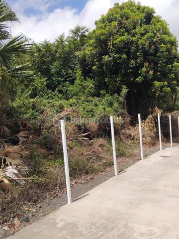 Terrain de 1 078 m²