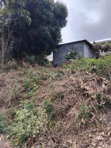 Terrain de 1 078 m²