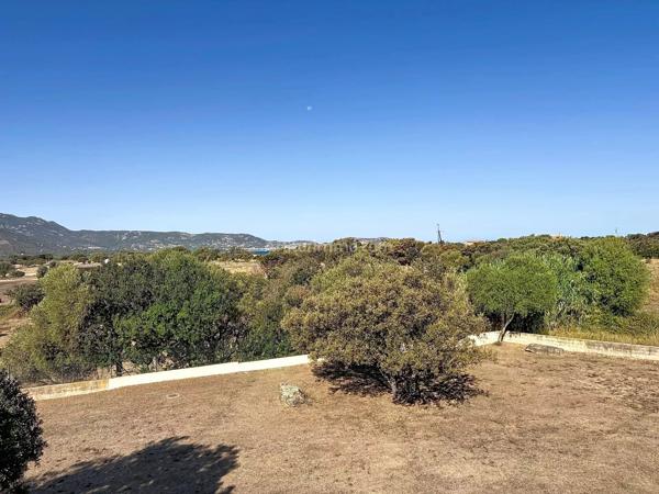 Vente                                                      Maison
                        
                     5 pièces                      103 m2                     à Lumio