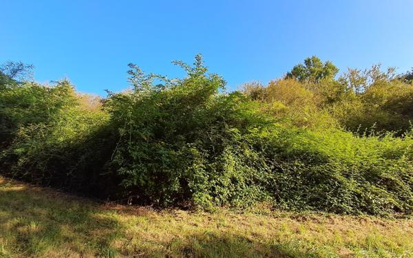 Terrain à vendre    Bergerac