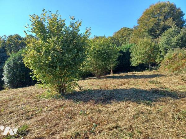 Terrain non constructible de 36150 m² 