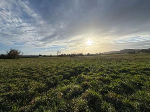 Gaillac - Terrain de 4 hectares