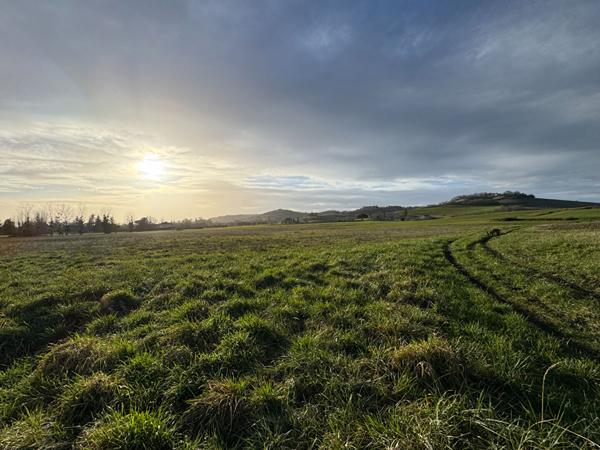 Gaillac - Terrain de 4 hectares