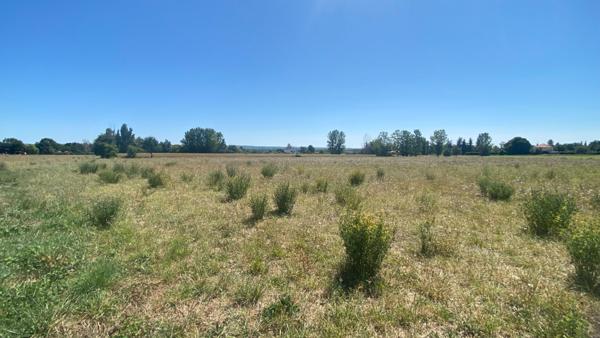 Gaillac - Terrain de 4 hectares