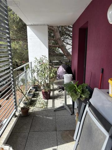 Achat - Appartement Cesson-Sévigné 35510 3 pièces 58 m 2