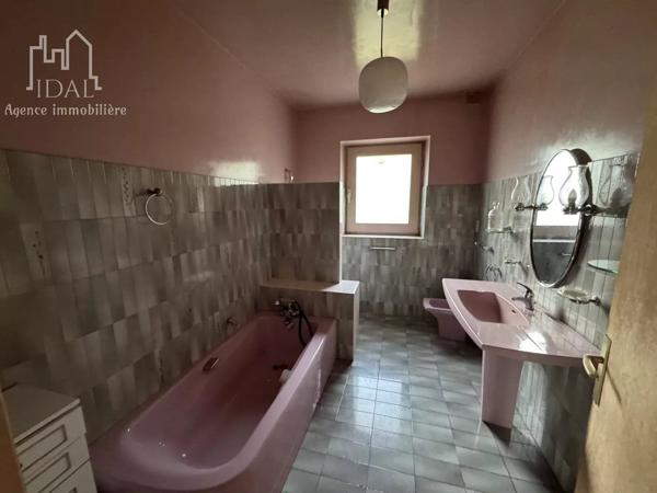 Vente Maison 11 pièces 272 m2 à Le Malzieu-Ville