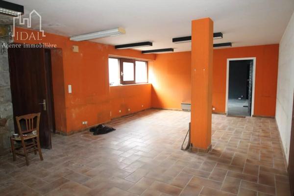 Vente Maison 11 pièces 272 m2 à Le Malzieu-Ville