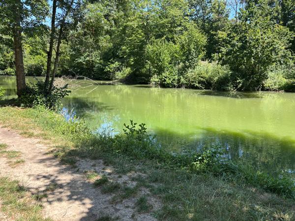 Maison Poce Sur Cisse 4 pièce(s) 80m²